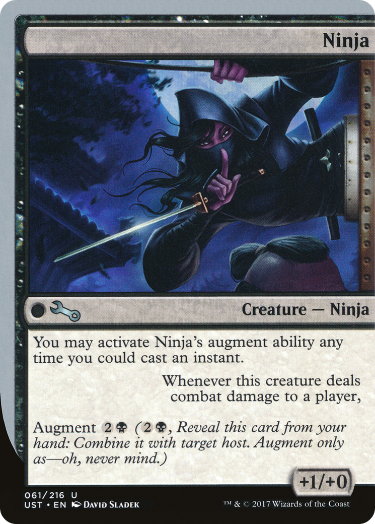 Image: Ninja - Unstable